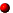 redbulle.gif (314 octets)